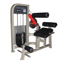 Load image into Gallery viewer, XRPF1005 Commercial Dual functional back extension / Ab Crunch