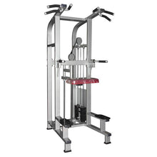 Load image into Gallery viewer, XRPF1008 Commercial Dual Function Chin Dip Assist