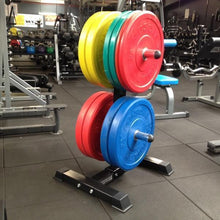 Load image into Gallery viewer, Bumper Plate Storage Rack
