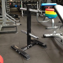 Load image into Gallery viewer, Bumper Plate Storage Rack
