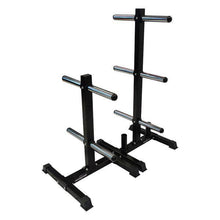 Load image into Gallery viewer, Bumper Plate Storage Rack
