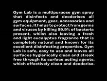 Load image into Gallery viewer, Gym Lab Multipurpose Sanitizer
