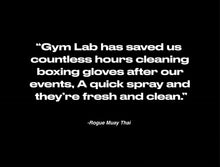 Load image into Gallery viewer, Gym Lab Multipurpose Sanitizer
