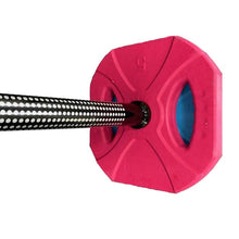 Load image into Gallery viewer, Rapid Motion 20kg Standard Rubber Coloured Barbell Pump Set
