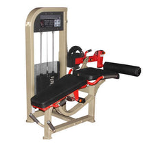Load image into Gallery viewer, XRPF1007 Commercial Dual Function Leg Curl Leg Extension
